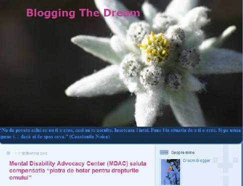 dream blogger