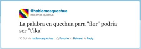 Het Quechua woord voor ‘bloem’